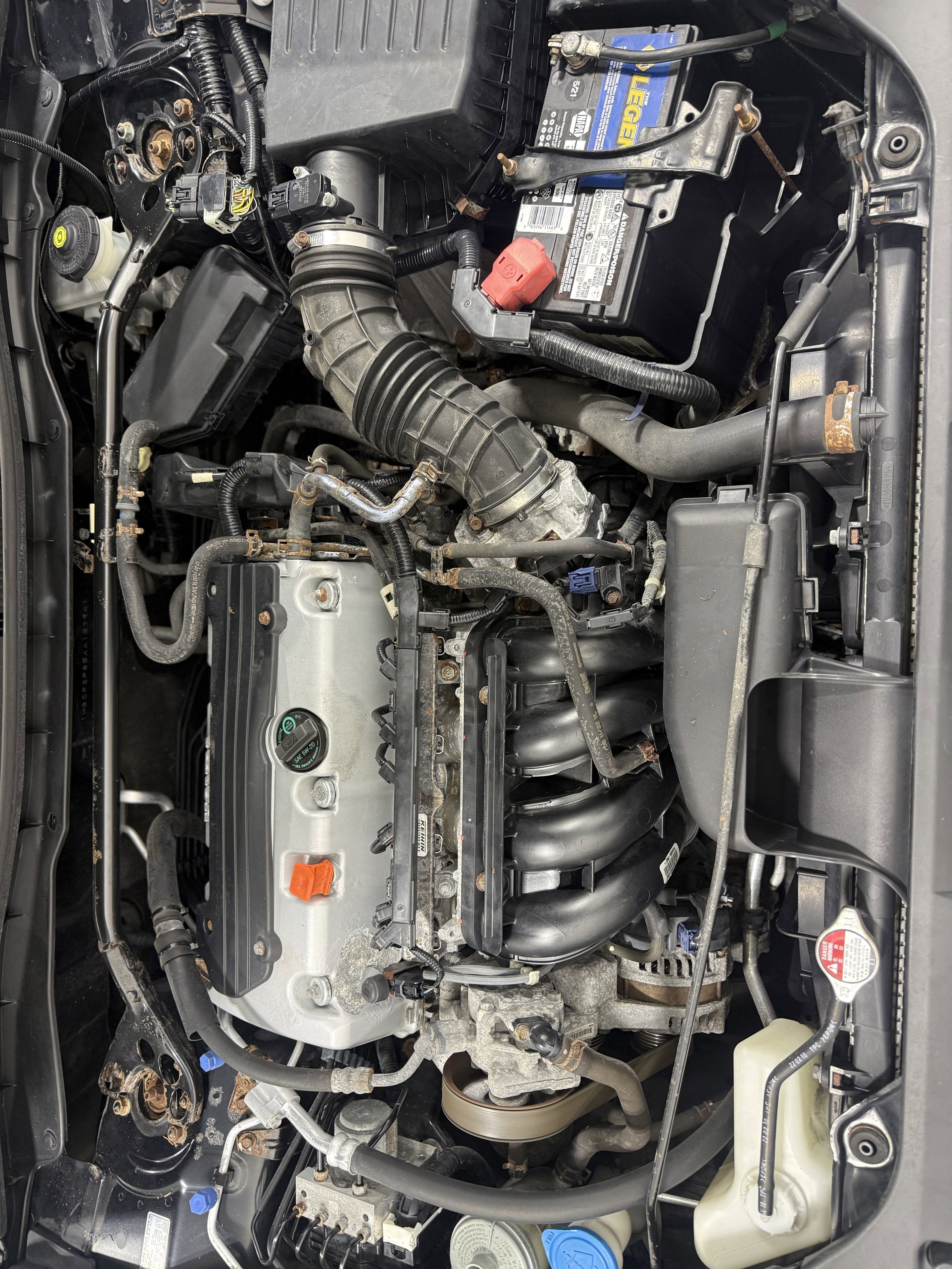 2010 Honda Accord Sdn EX-L