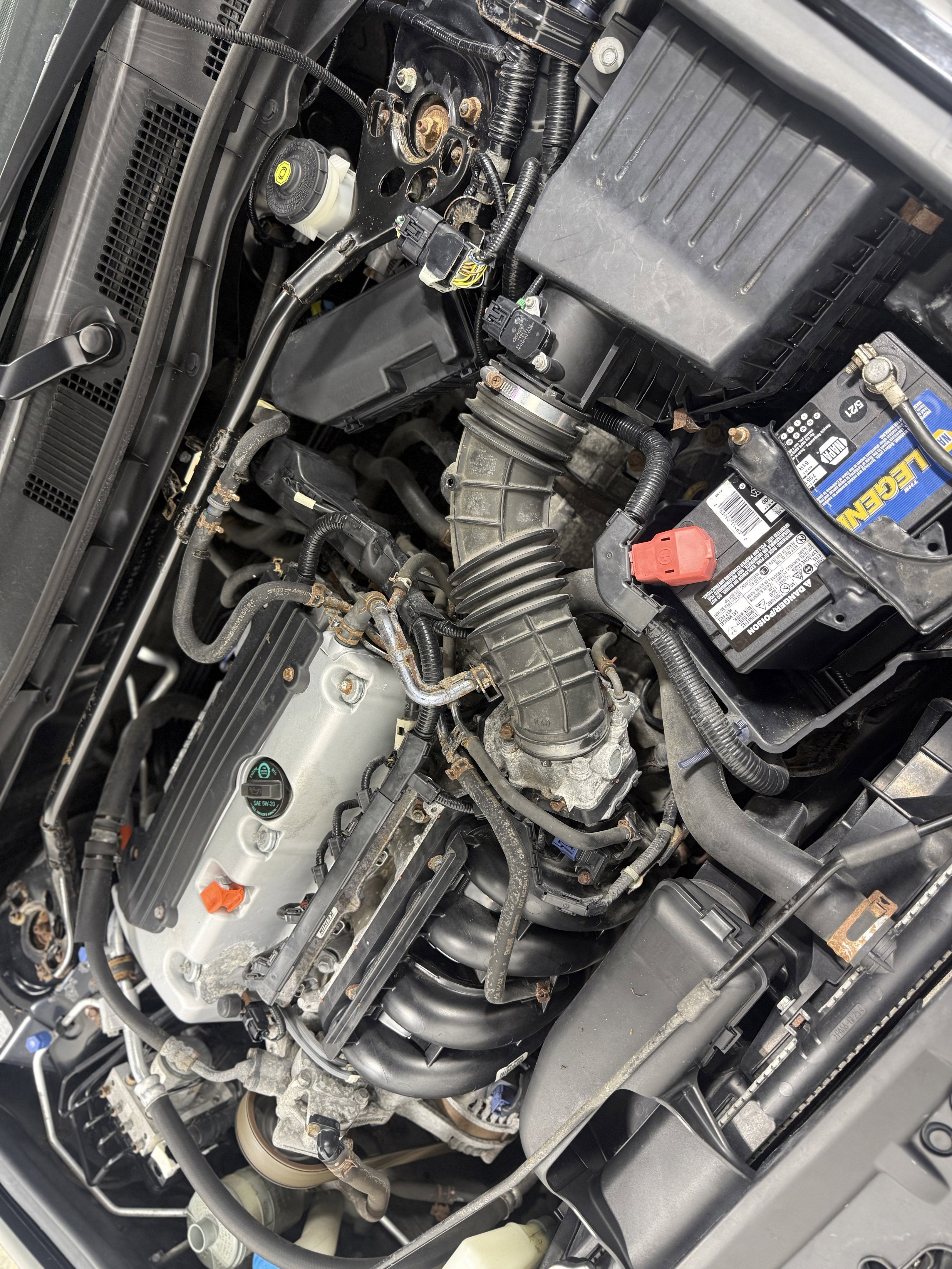 2010 Honda Accord Sdn EX-L