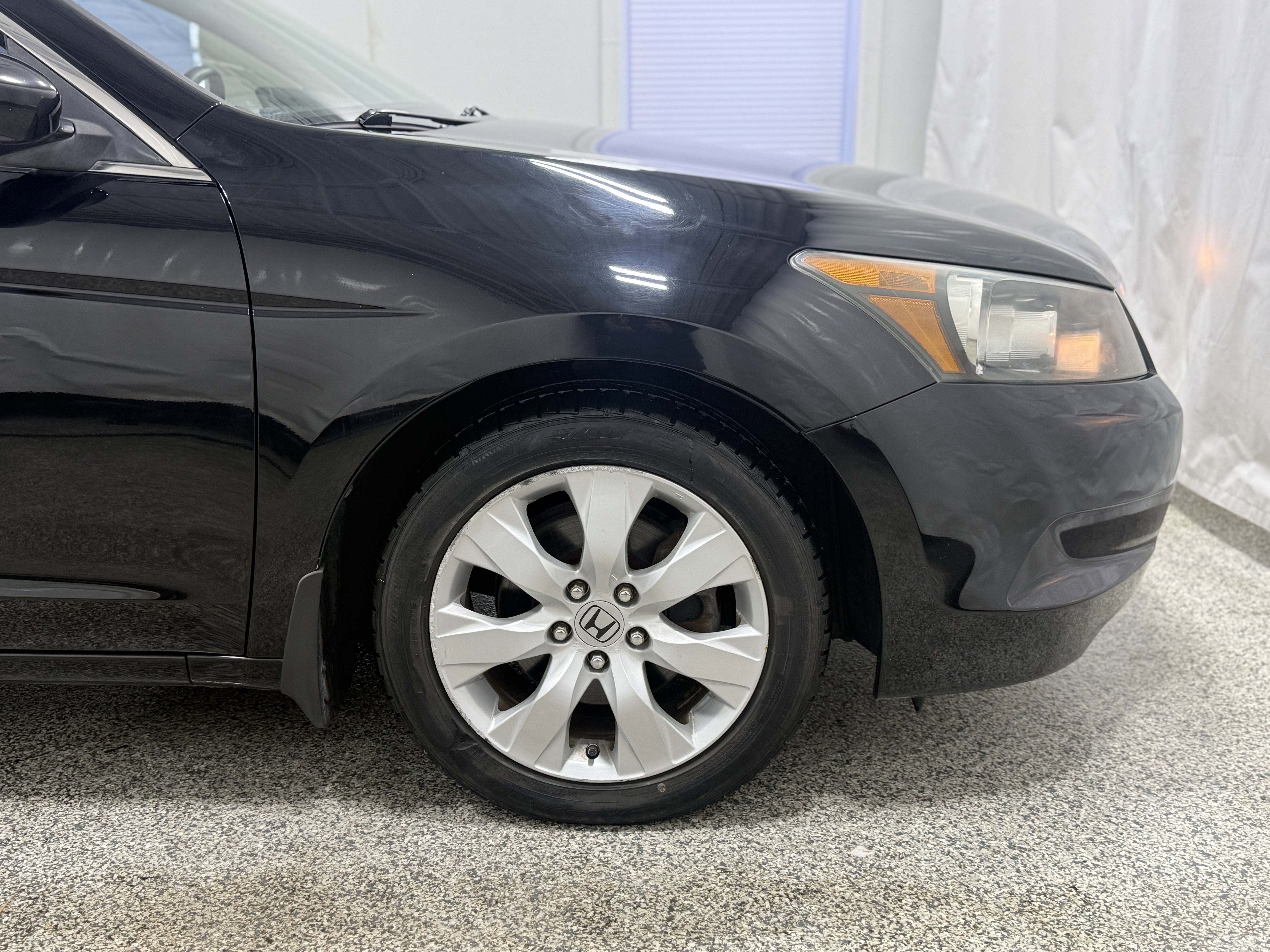 2010 Honda Accord Sdn EX-L